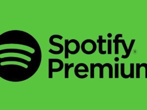 Spotify Premium | 1Mois