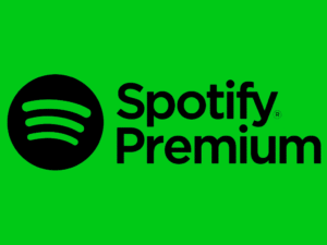 Spotify Premium | 3Mois